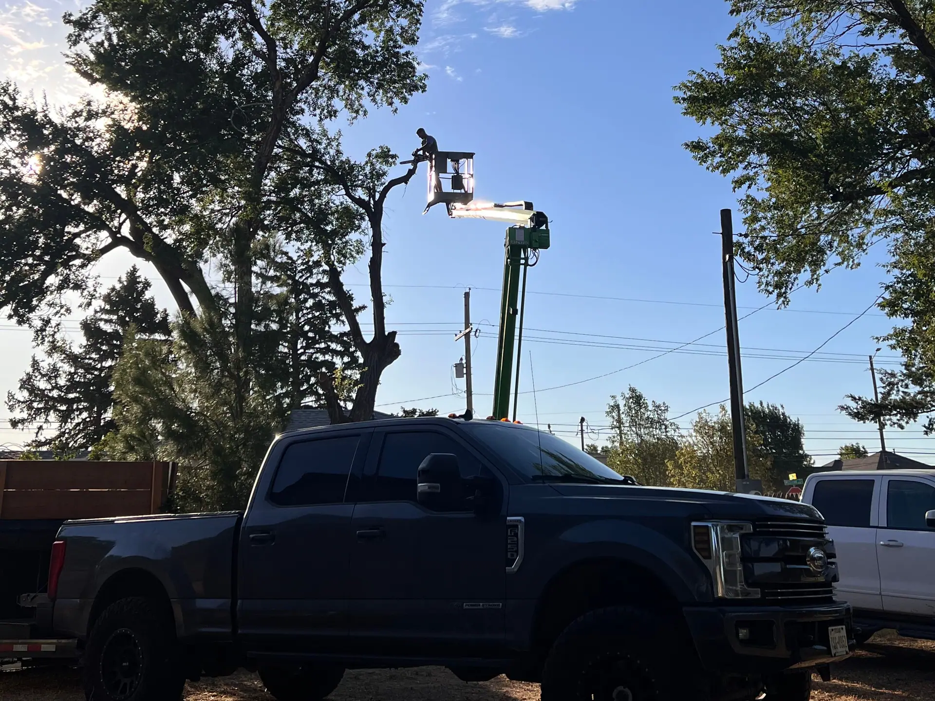 An OTC crew truck below a lift raised into a tall tree on a residential job